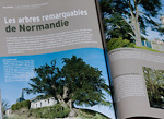 PaysNormandie62 Arbres remarquables de Normandie